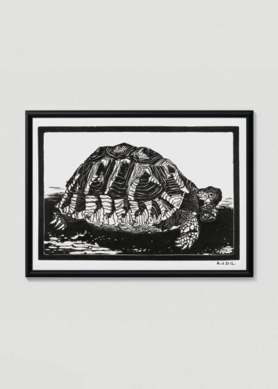 Plakat w drewnianej czarnej ramce: żółw drzeworyt Julie de Graag czarno-biały