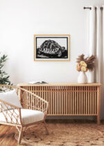 Aranżacja wnętrza, na ścianie wisi plakat w ramce: żółw drzeworyt Julie de Graag czarno-biały
