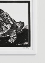 Zbliżenie na detale plakatu oprawionego w drewnianą białą ramkę od Plakatello®: żółw drzeworyt Julie de Graag czarno-biały