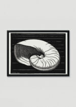 Plakat w drewnianej czarnej ramce: nautilus muszla Julie de Graag 1921 drzeworyt