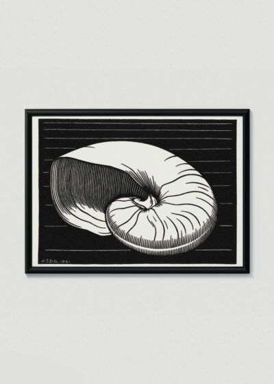 Plakat w drewnianej czarnej ramce: nautilus muszla Julie de Graag 1921 drzeworyt