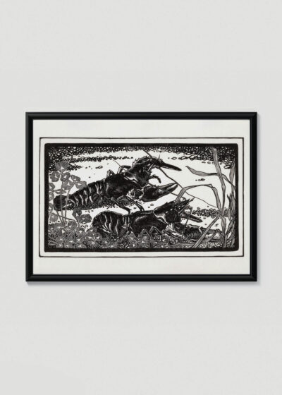 Plakat w drewnianej czarnej ramce: Dwa raki czarno-biały Julie de Graag vintage