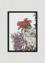 Plakat w drewnianej czarnej ramce: chryzantemy Julie de Graag botaniczny Art Nouveau