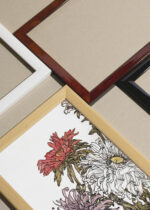 Widok z góry na cztery drewniane ramki, w jednej z nich oprawiony plakat chryzantemy Julie de Graag botaniczny Art Nouveau