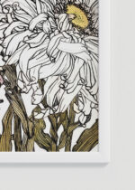 Zbliżenie na detale plakatu oprawionego w drewnianą białą ramkę od Plakatello®: chryzantemy Julie de Graag botaniczny Art Nouveau