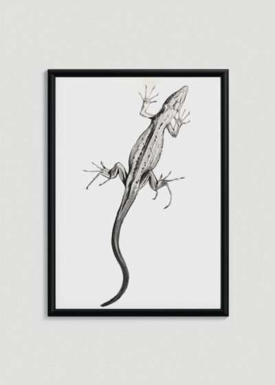 Plakat w drewnianej czarnej ramce: jaszczurka Julie de Graag vintage grafika sepia
