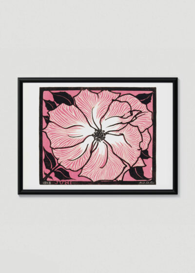 Plakat w drewnianej czarnej ramce: kwiat Julie de Graag 1918 różowy vintage retro