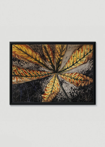 Plakat w drewnianej czarnej ramce: Julie de Graag liście botaniczne vintage drzeworyt