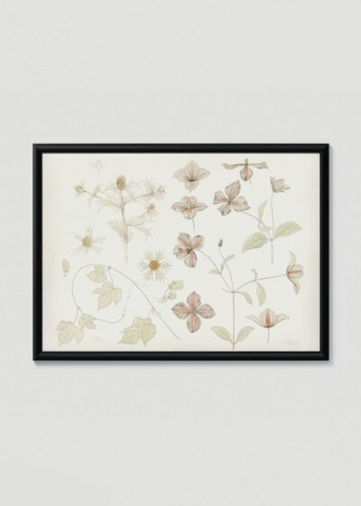 Plakat w drewnianej czarnej ramce: botaniczny Julie de Graag kwiaty vintage beżowy