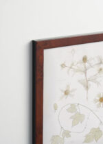 Plakat oprawiony w drewnianą brązową ramkę Vintage Italia: botaniczny Julie de Graag kwiaty vintage beżowy