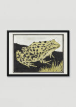 Plakat w drewnianej czarnej ramce: żaba Julie de Graag vintage drzeworyt