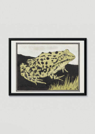 Plakat w drewnianej czarnej ramce: żaba Julie de Graag vintage drzeworyt