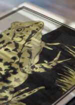 Zbliżenie na detale plakatu: żaba Julie de Graag vintage drzeworyt