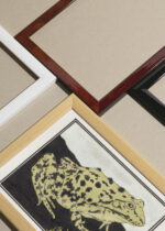 Widok z góry na cztery drewniane ramki, w jednej z nich oprawiony plakat żaba Julie de Graag vintage drzeworyt