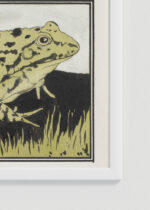 Zbliżenie na detale plakatu oprawionego w drewnianą białą ramkę od Plakatello®: żaba Julie de Graag vintage drzeworyt