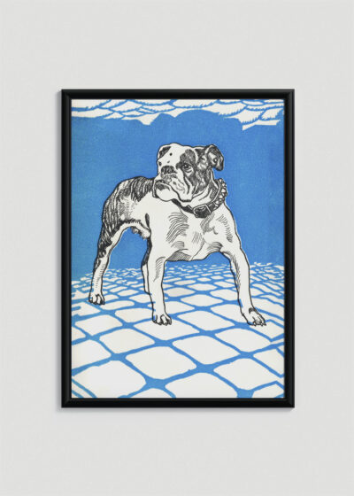 Plakat w drewnianej czarnej ramce: buldog angielski Moriz Jung secesja wiedeńska