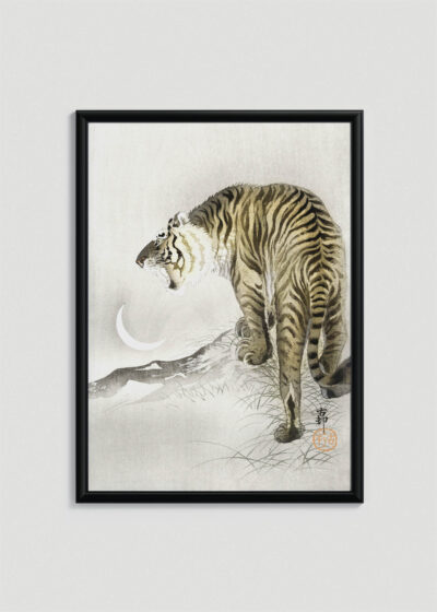 Plakat w drewnianej czarnej ramce: tygrys japoński drzeworyt Ohara Koson