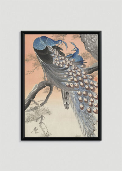 Plakat w drewnianej czarnej ramce: pawie Ohara Koson japoński drzeworyt shin-hanga