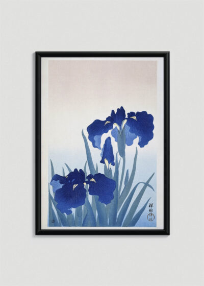 Plakat w drewnianej czarnej ramce: Irysy Ohara Koson japońska sztuka drzeworytnicza