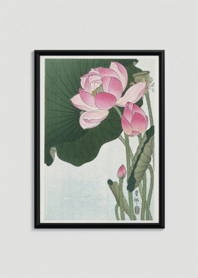 Plakat w drewnianej czarnej ramce: Kwitnący Lotos Ohara Koson japoński vintage