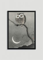 Plakat w drewnianej czarnej ramce: sowa i księżyc Ohara Koson japoński drzeworyt