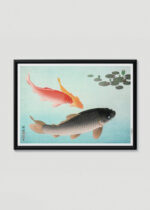 Plakat w drewnianej czarnej ramce: Karpie Koi nishiki-goi Ohara Koson japoński drzeworyt vintage