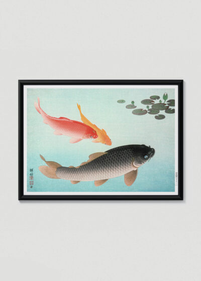 Plakat w drewnianej czarnej ramce: Karpie Koi nishiki-goi Ohara Koson japoński drzeworyt vintage