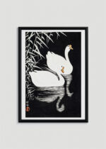 Plakat w drewnianej czarnej ramce: Dwa łabędzie Ohara Koson japoński czarno-biały