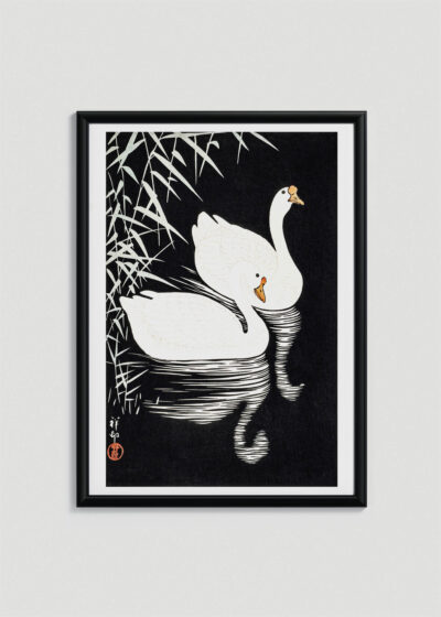 Plakat w drewnianej czarnej ramce: Dwa łabędzie Ohara Koson japoński czarno-biały
