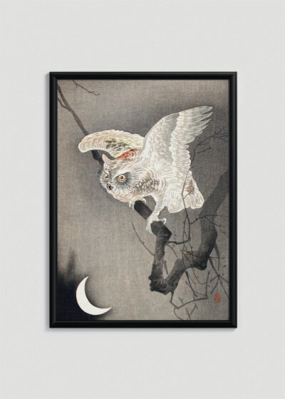 Plakat w drewnianej czarnej ramce: Sowa na gałęzi Ohara Koson japoński drzeworyt