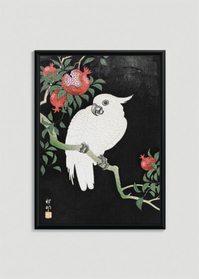 Plakat w drewnianej czarnej ramce: Kakadu białoczuby Ohara Koson japoński drzeworyt