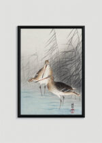 Plakat w drewnianej czarnej ramce: ptaki bekasy kszyki Ohara Koson japoński drzeworyt vintage