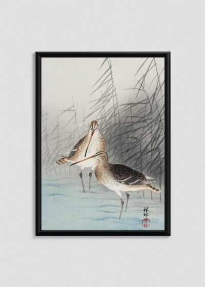 Plakat w drewnianej czarnej ramce: ptaki bekasy kszyki Ohara Koson japoński drzeworyt vintage
