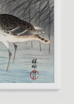 Zbliżenie na detale plakatu oprawionego w drewnianą białą ramkę od Plakatello®: ptaki bekasy kszyki Ohara Koson japoński drzeworyt vintage