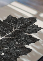 Zbliżenie na detale plakatu: liść dębu czarno-biały Owen Jones botaniczny