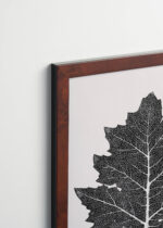 Plakat oprawiony w drewnianą brązową ramkę Vintage Italia: liść dębu czarno-biały Owen Jones botaniczny