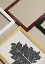 Widok z góry na cztery drewniane ramki, w jednej z nich oprawiony plakat liść dębu czarno-biały Owen Jones botaniczny