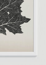 Zbliżenie na detale plakatu oprawionego w drewnianą białą ramkę od Plakatello®: liść dębu czarno-biały Owen Jones botaniczny