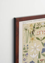 Plakat oprawiony w drewnianą brązową ramkę Vintage Italia: botaniczny Owen Jones Gramatyka Ornamentu 1856