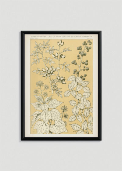 Plakat w drewnianej czarnej ramce: botaniczny Owen Jones Gramatyka Ornamentu 1856