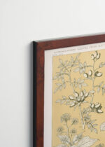 Plakat oprawiony w drewnianą brązową ramkę Vintage Italia: botaniczny Owen Jones Gramatyka Ornamentu 1856