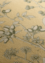 botaniczny Owen Jones Gramatyka Ornamentu 1856 obraz na płótnie