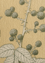 botaniczny Owen Jones Gramatyka Ornamentu 1856 obraz na płótnie