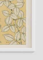 Zbliżenie na detale plakatu oprawionego w drewnianą białą ramkę od Plakatello®: botaniczny Owen Jones Gramatyka Ornamentu 1856