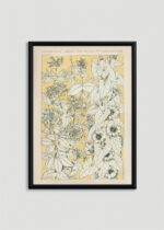 Plakat w drewnianej czarnej ramce: botaniczny kwiaty powojnika Owen Jones 1856