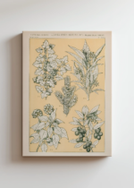 botaniczny Owen Jones Gramatyka Ornamentu 1856 obraz na płótnie