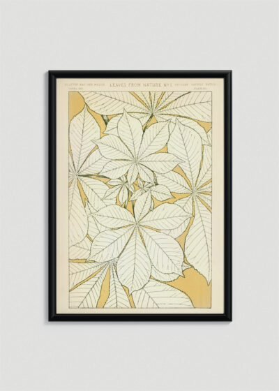 Plakat w drewnianej czarnej ramce: Liście z natury Owen Jones Gramatyka Ornamentu
