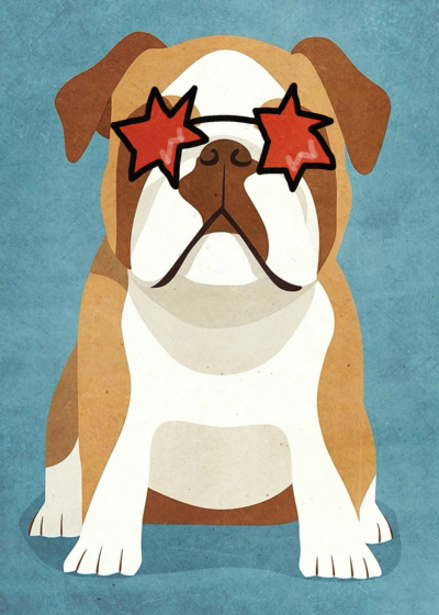 Plakat buldog angielski w gwiazdkowych okularach dla dzieci