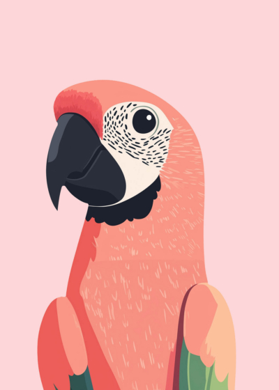 Plakat koralowa ara papuga do pokoju dziecka skandynawski