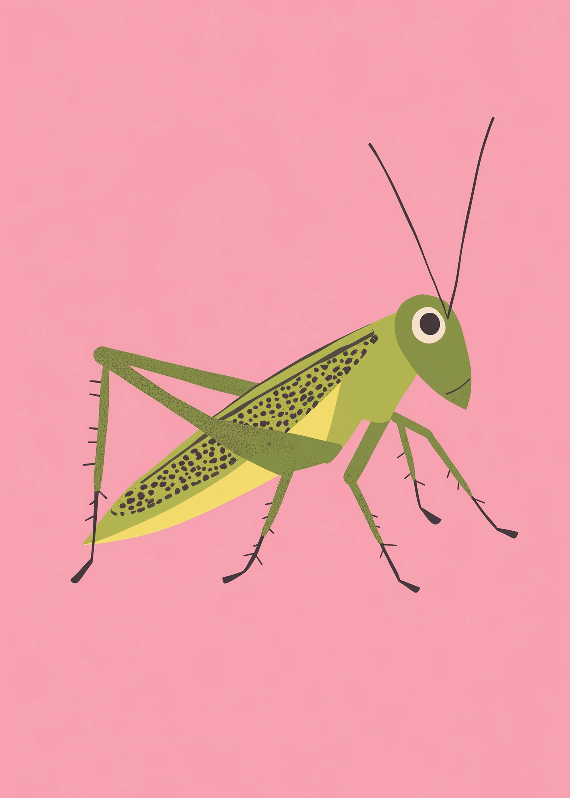 Plakat konik polny szarańcza dla dzieci styl skandynawski